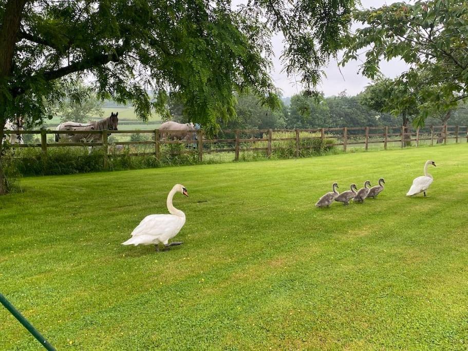 Cottage Barn Conversion On Working Farm Worcester Exteriör bild